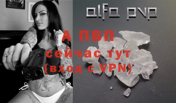 трава Белокуриха