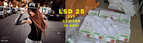трава Белокуриха