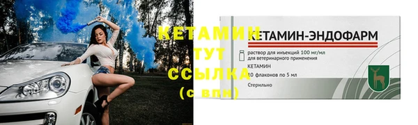 трава Белокуриха