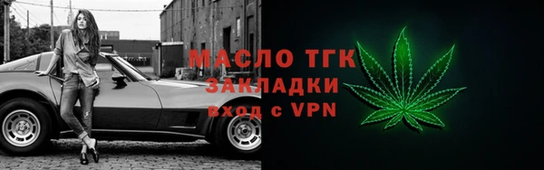 гашик Тайга