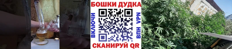 Каннабис ГИДРОПОН  omg зеркало  Кушва 